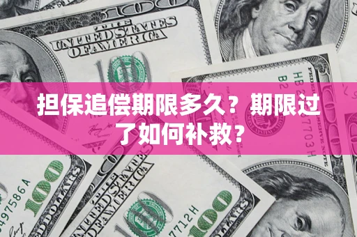 北京担保追偿期限多久？期限过了如何补救？