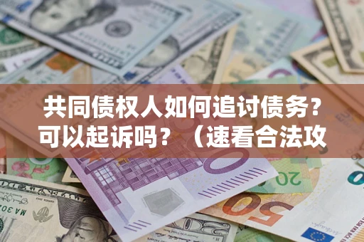 北京共同债权人如何追讨债务？可以起诉吗？（速看合法攻略）