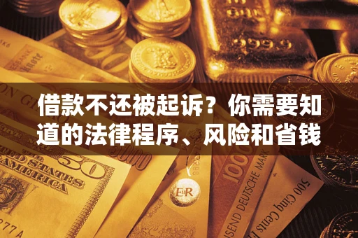 北京借款不还被起诉？你需要知道的法律程序、风险和省钱技巧